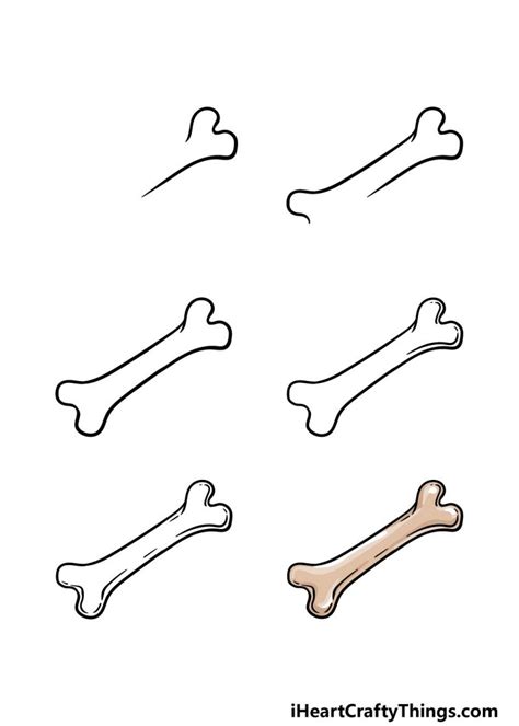 Bone Drawing How To Draw A Bone Step By Step