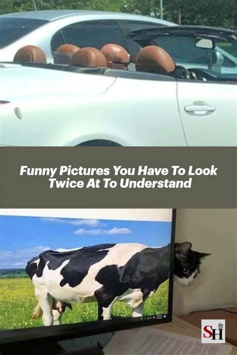 Funny Pictures You Have To Look Twice At To Understand Artofit
