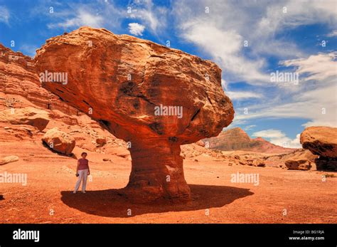 Gigantic Balanced Rock At Lees Ferry In Arizona Usa Stock Photo Alamy