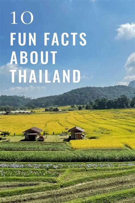 10 Fun Facts About Thailand In 2023 Fun Facts Thailand Fun