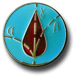Chernobyl liquidators - Wikipedia