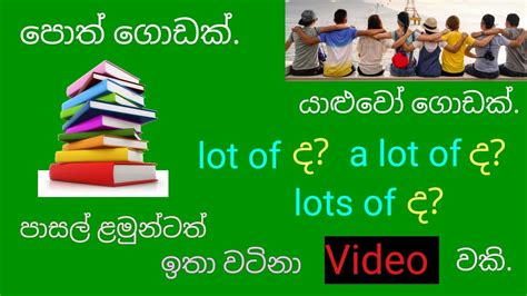 ගොඩක් කියනකොට Lot Of ද A Lot Of ද Lots Of ද මෙන්න නියම පැහැදිලි