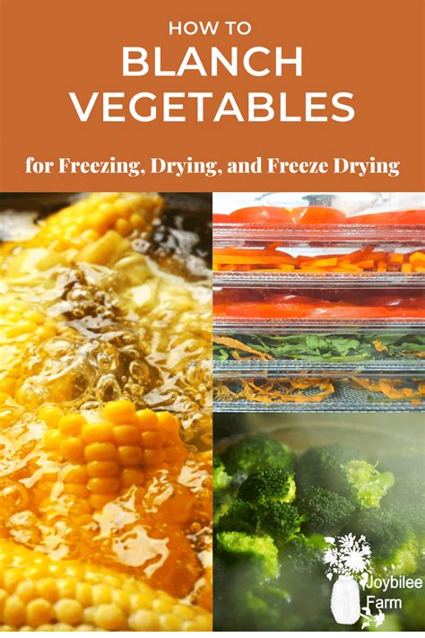 Blanching Vegetables For Freezing Drying And Freeze Drying