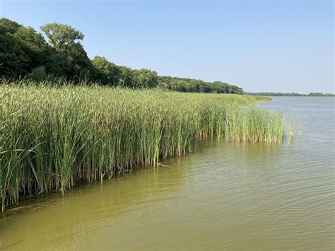 Rice Lake State Park | Outdoor Project