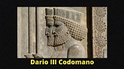Darío III: El Ultimo gran Rey Persa y la perdida de su imperio a manos ...