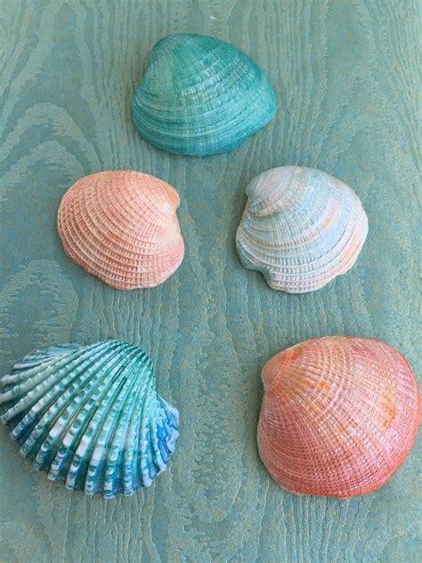 Painting Sea Shells 050115 Painted Shells Seashell Painting Rock Art