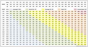 Body Mass Index Calculator For Rapastor