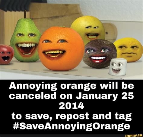 Annoying Orange Will Be Canceled On January 25 2014 To Save Repost And