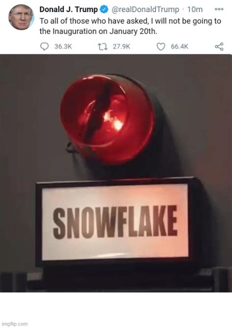 Image Tagged In Trump Snowflake Alert Imgflip