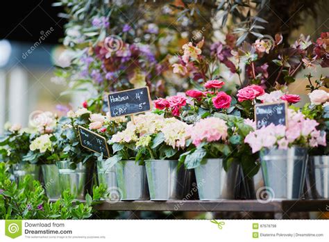 Outdoor Flower Market In Paris Stock Photo Image Of Green European