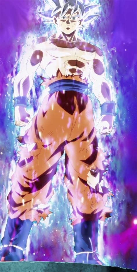 Goku Mastered Ultra Instinct In Whis Gi By Aashananimeart On Deviantart