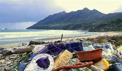 Threats to Marine Ecosystems | LEARNZ
