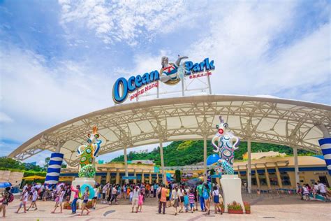 Ocean Park สวนสนุกและสวนสัตว์ระดับโลก Dplus Guide