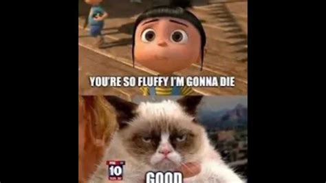 Grumpy Cat Memes Part 1 Youtube