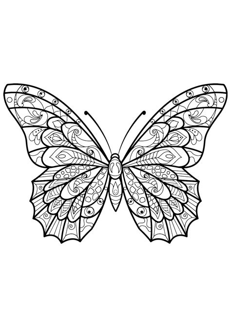 Coloriages Papillons A Imprimer Dessins De Colorier Images Gratuites