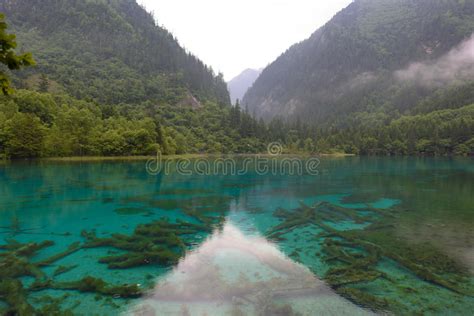 Colorful Lake Of Jiuzhai Valley National Park Stock Photo Image Of