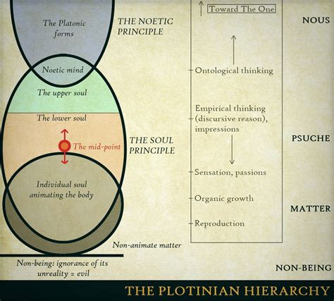 The Plotinian Hierarchy A Metaphysical Diagram Plotinus On Degrees