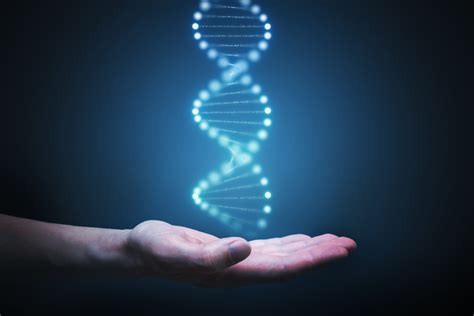 De Novo Genome Assemblies Genetwister Technologies Bv
