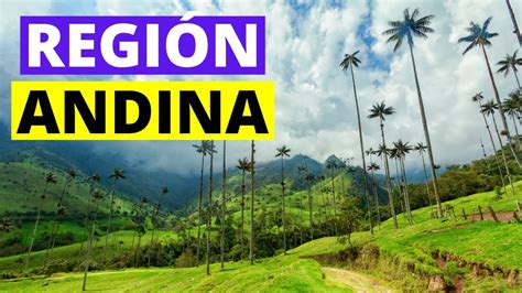 La RegiÓn Andina Colombiana Flora Fauna Clima Características Youtube