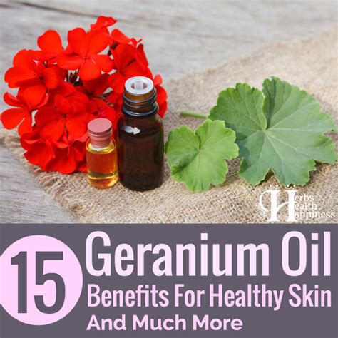 15 Geranium Oil Benefits For Healthy Skin And Much More Herbs