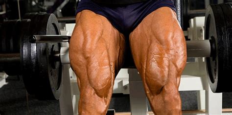 Build Bigger Legs With This Brutal Lower Body Workout Fitness Volt