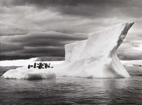 Antarctica Iceberg Birds Penguins Sea Wallpaper Coolwallpapersme