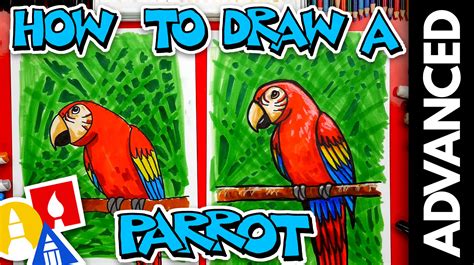How To Draw A Bird Parrot Advanced Art For Kids Hub