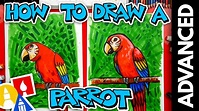 How To Draw A Bird (Parrot) - Advanced - Art For Kids Hub