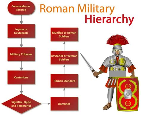 Roman Military Hierarchy Roman History Roman Legion Roman Soldiers