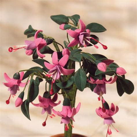 The standard company limited is responsible for this page. The Dolls House Emporium Standard Fuchsia Plant 110mm