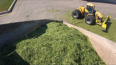 First Cutting Of Hay Cut Chopped Dumped And Packed Youtube