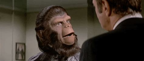 Planet Of The Apes  Find And Share On Giphy