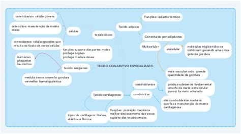 Mapa Mental Tecido Conjuntivo Baixe Gratis Em Pdf Tecido Images