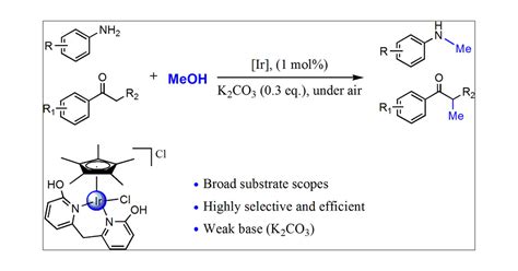 Methylation Of Amines And Ketones With Methanol Catalyzed By An Iridium