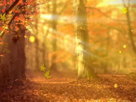 Autumn Powerpoint Nature Tree Background Cbeditz