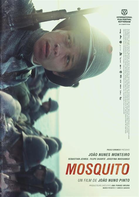 Mosquito Sortie Dvd Blu Ray Et Vod