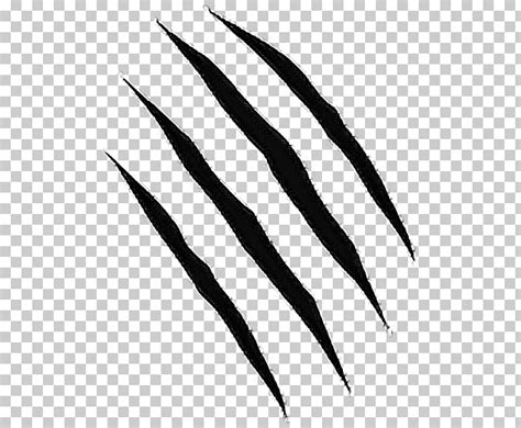 Panther Claw Marks Png Claw Scratch Tiger Claw Drawing Lion Gray