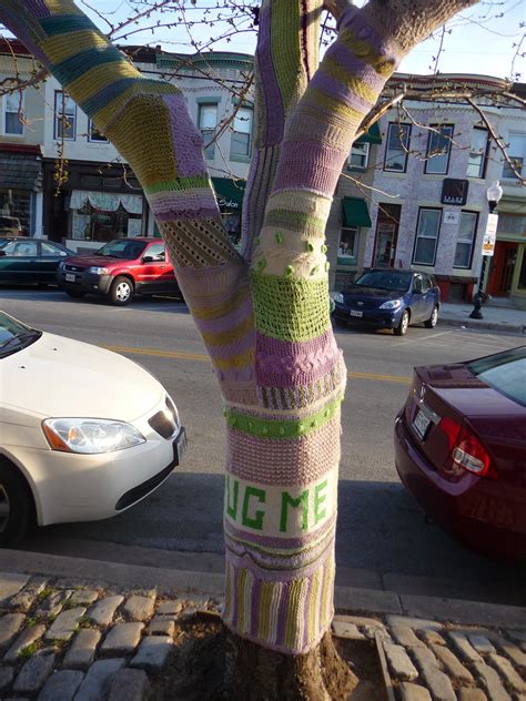 Huge Tree Cozy Mark Atwood Flickr