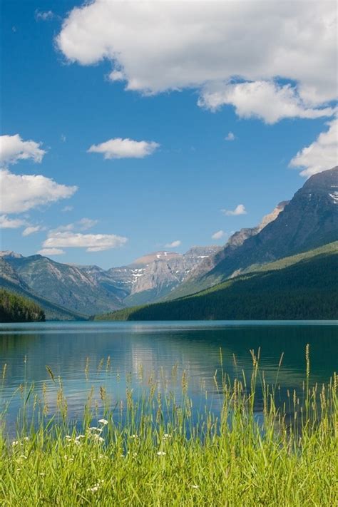 Wallpaper Bowman Lake Glacier National Park Montana Mountains