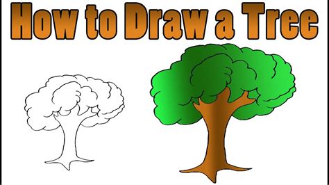 And then you need to observe nature and regularly make sketches. How to Draw a Tree - YouTube