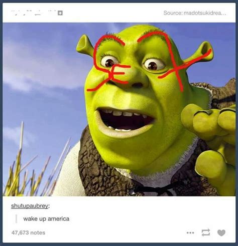 Hahahaha Wtf Shrek Memes Dark Humour Memes Shrek