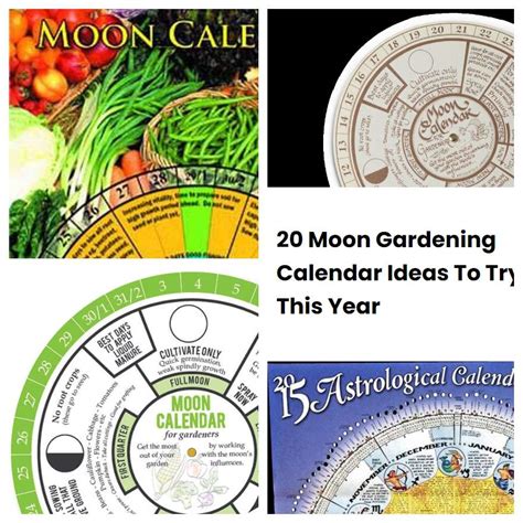 20 Moon Gardening Calendar Ideas To Try This Year Sharonsable