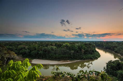 Things to Know | Amazon Rainforest Volunteer | WorkingAbroad