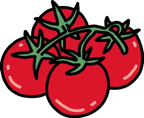 Doodle Outline Freehand Sketch Drawing Of Tomato Vegetable 12038010 Png