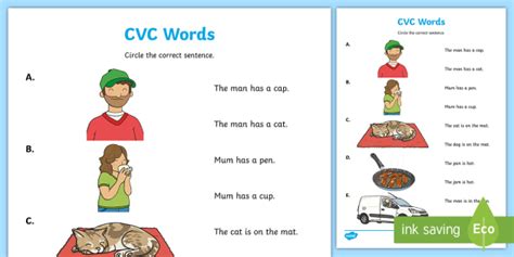 The workbook contains word family cvc sentences that are easy to read. CVC Words Reading Worksheet (teacher made)