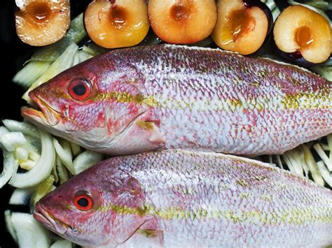 Sexually Transmitted Food Poisoning A Fish Toxin Could Be