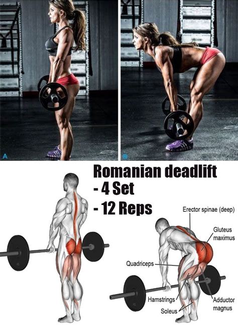Romanian Deadlift Workout Bodybuilding Training Exercise