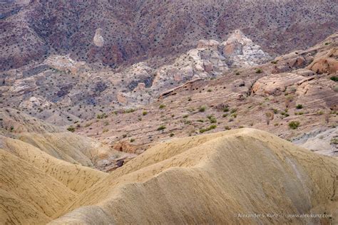 Desert Waiting Alexander S Kunz Photography