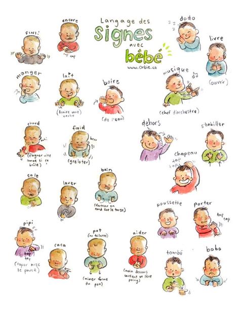 Educational Infographic En Baby Sign Language Poster English
