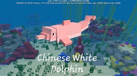 White Dolphin Minecraft Mobs Wiki Fandom